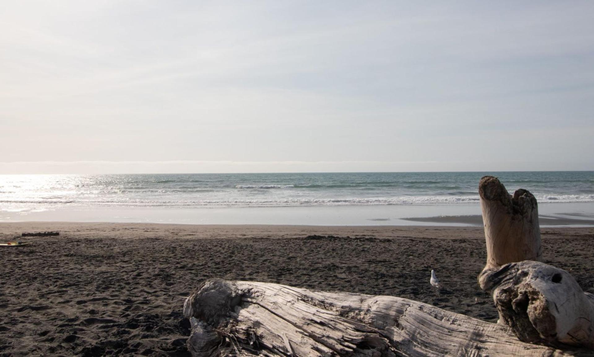 The Dunes At Fitzroy Beach Unit 2 New Plymouth Ngoại thất bức ảnh